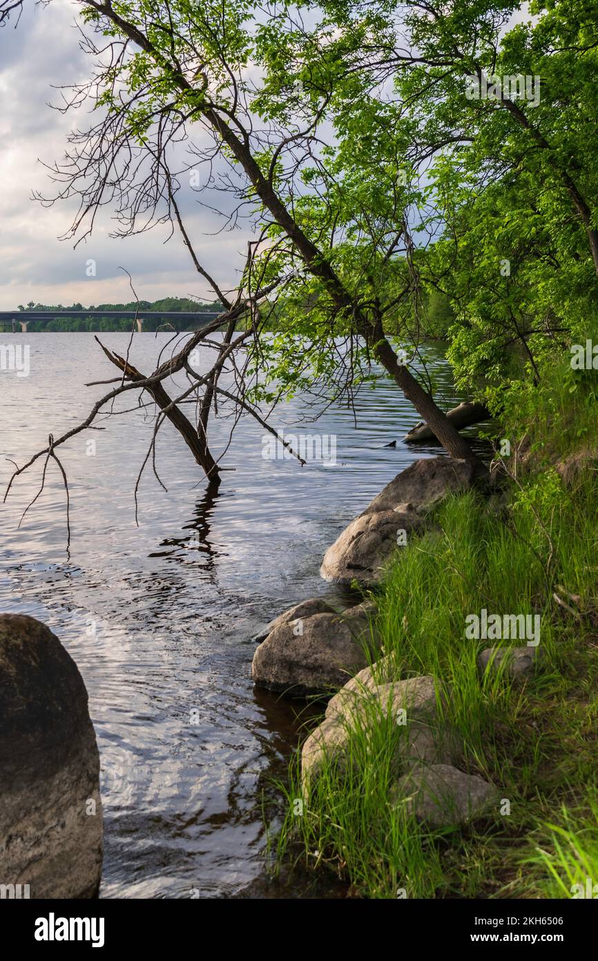 Mississippi coast landscape hi-res stock photography and images - Alamy
