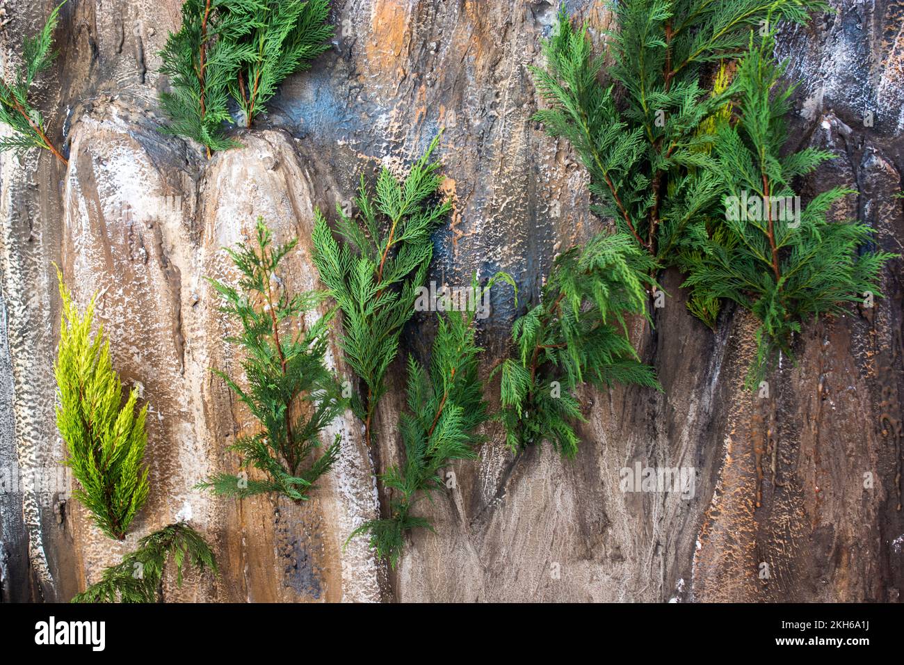 Tree leaves as floral nature background texture Stock Photo - Alamy