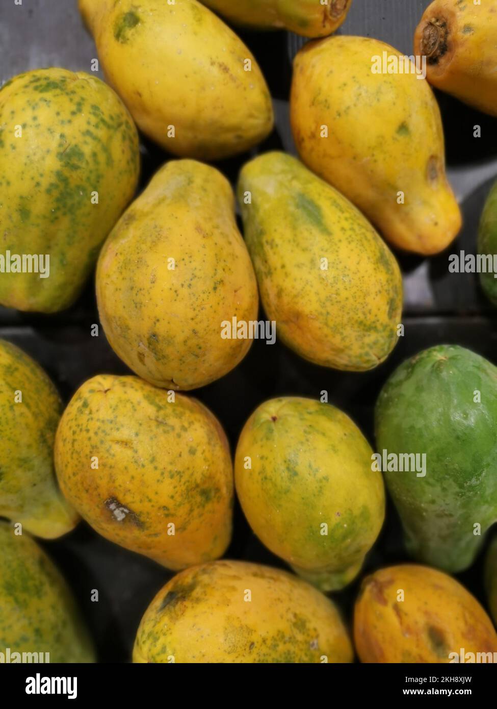 lots of dwarf papaya fruits Stock Photo Alamy