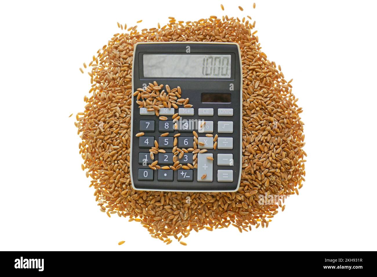 Growth in world prices for wheat and flour Sale and purchase of wheat concept. Wheat prices. Wheat grains and a calculator on a white background. Stock Photo