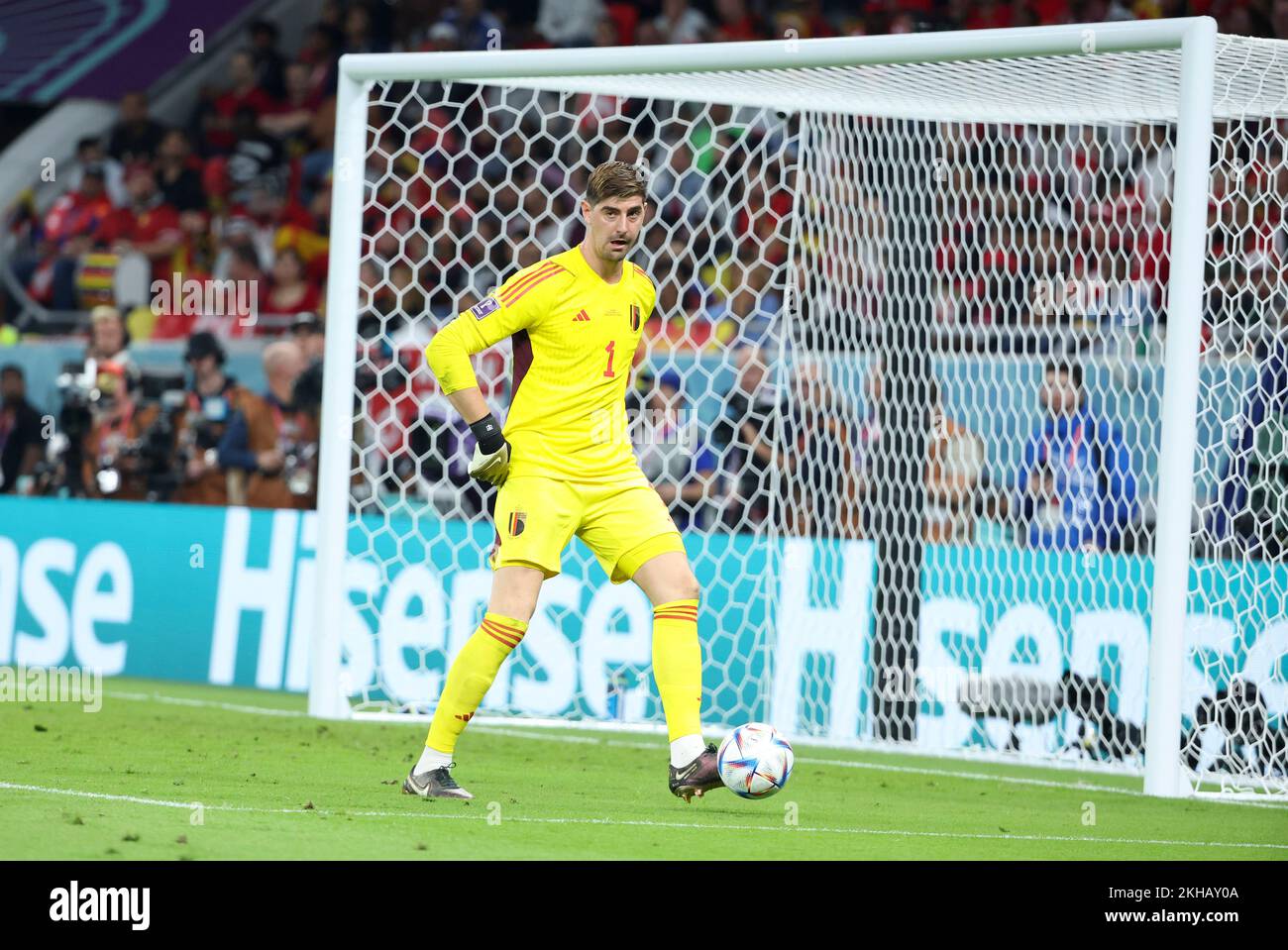 Belgium goalkeeper Thibaut Courtois during the FIFA World Cup 2022