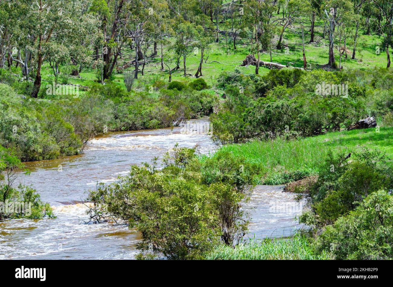 Apsley River after heavy rain running through Australian bush near Walcha NSW. Stock Photo