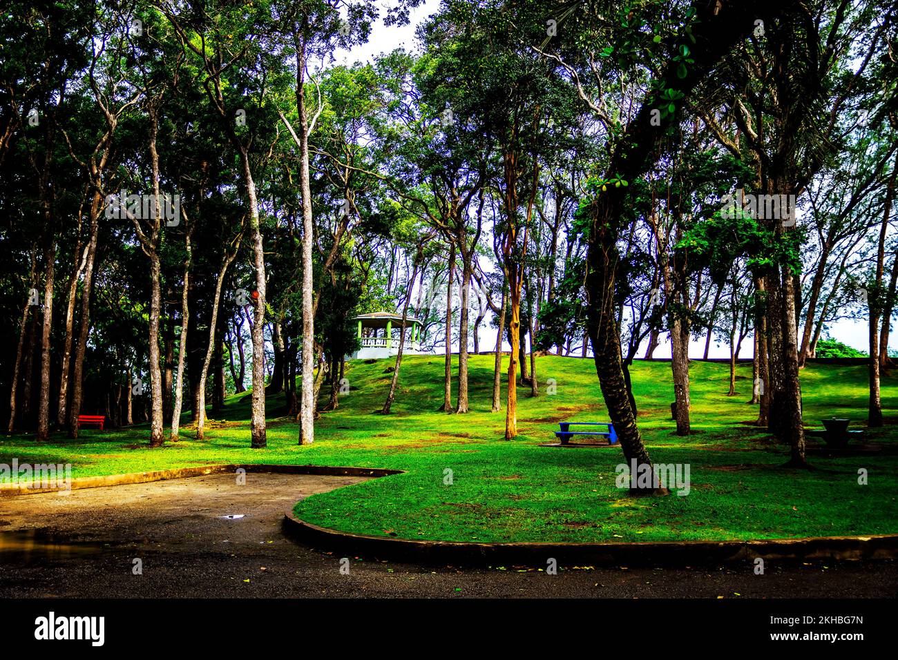 The Breataking and Beautiful Farley Hill National Park; Farley Hill; St