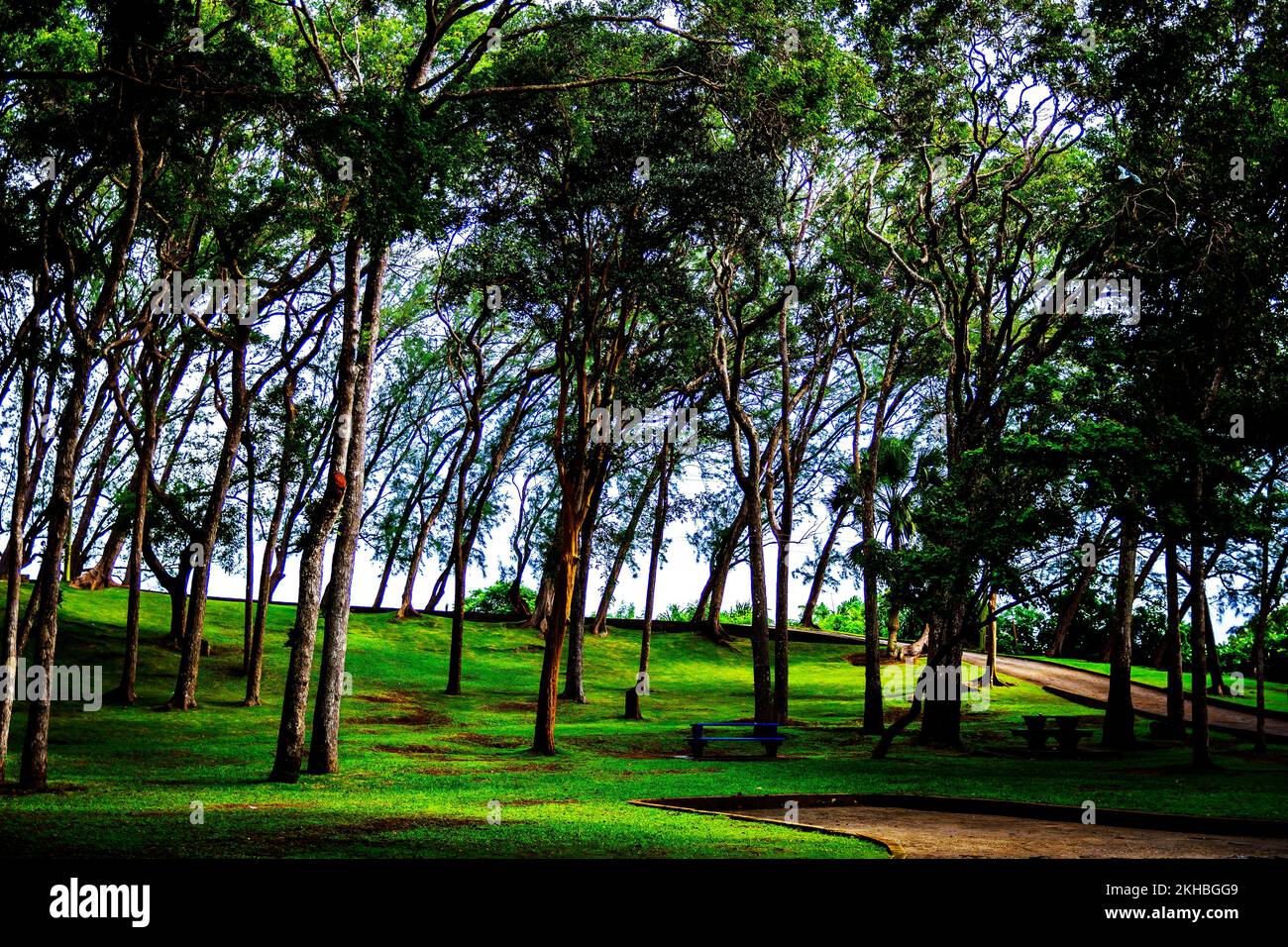 The Breataking and Beautiful Farley Hill National Park; Farley Hill; St
