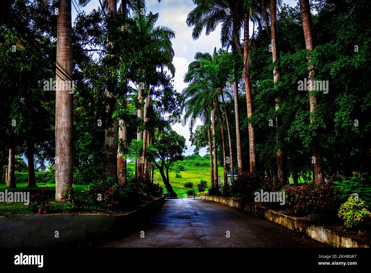 The Breataking and Beautiful Farley Hill National Park; Farley Hill; St