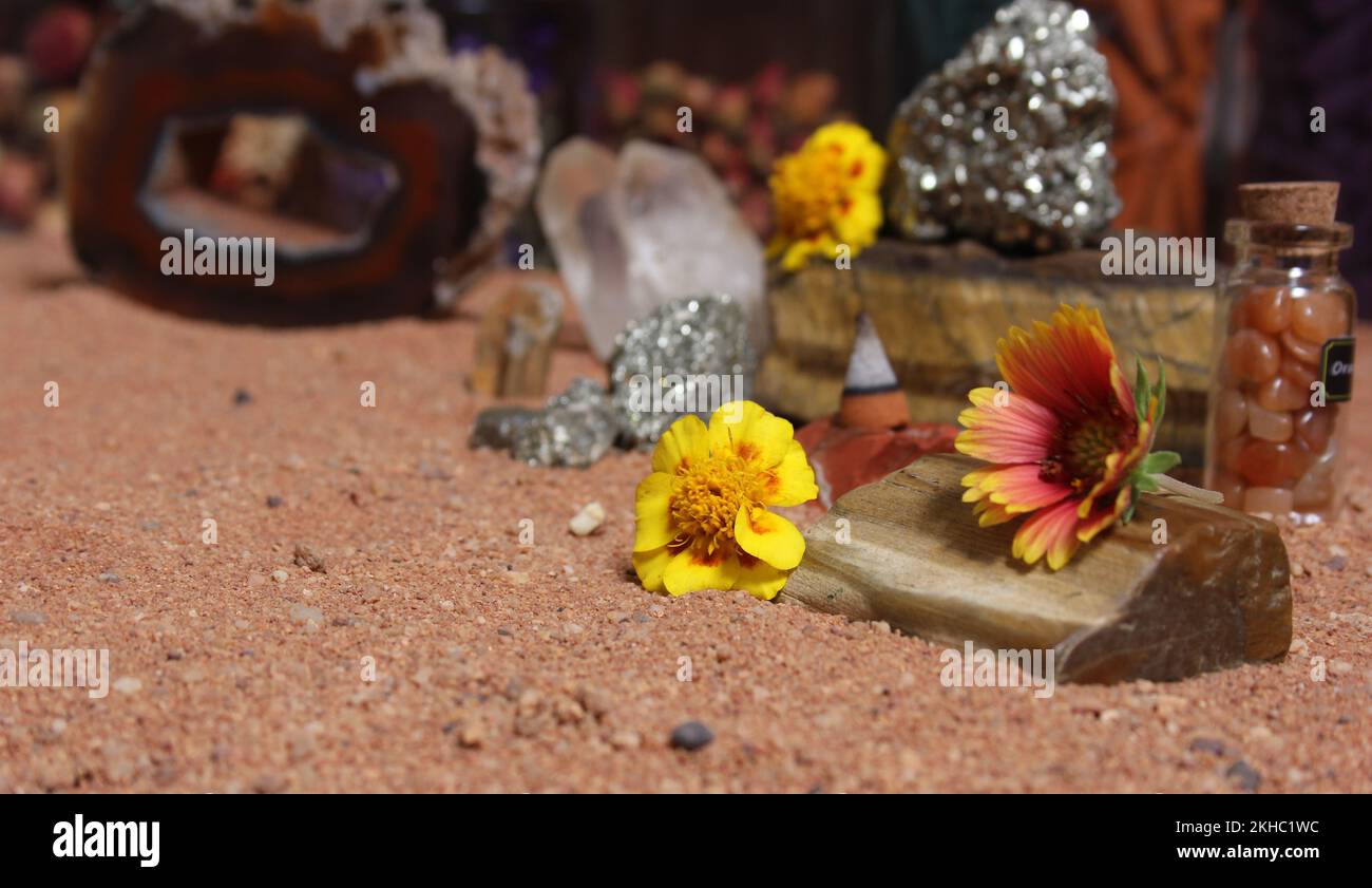 Yellow Flowers With Pyrite Rocks and Crystals on Australian Red Sand Stock Photo