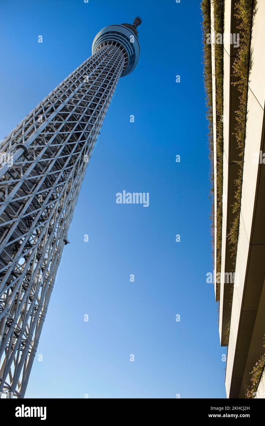 Tokyo Skytree straight up view in Oshiage, Tokyo, Japan Stock Photo - Alamy