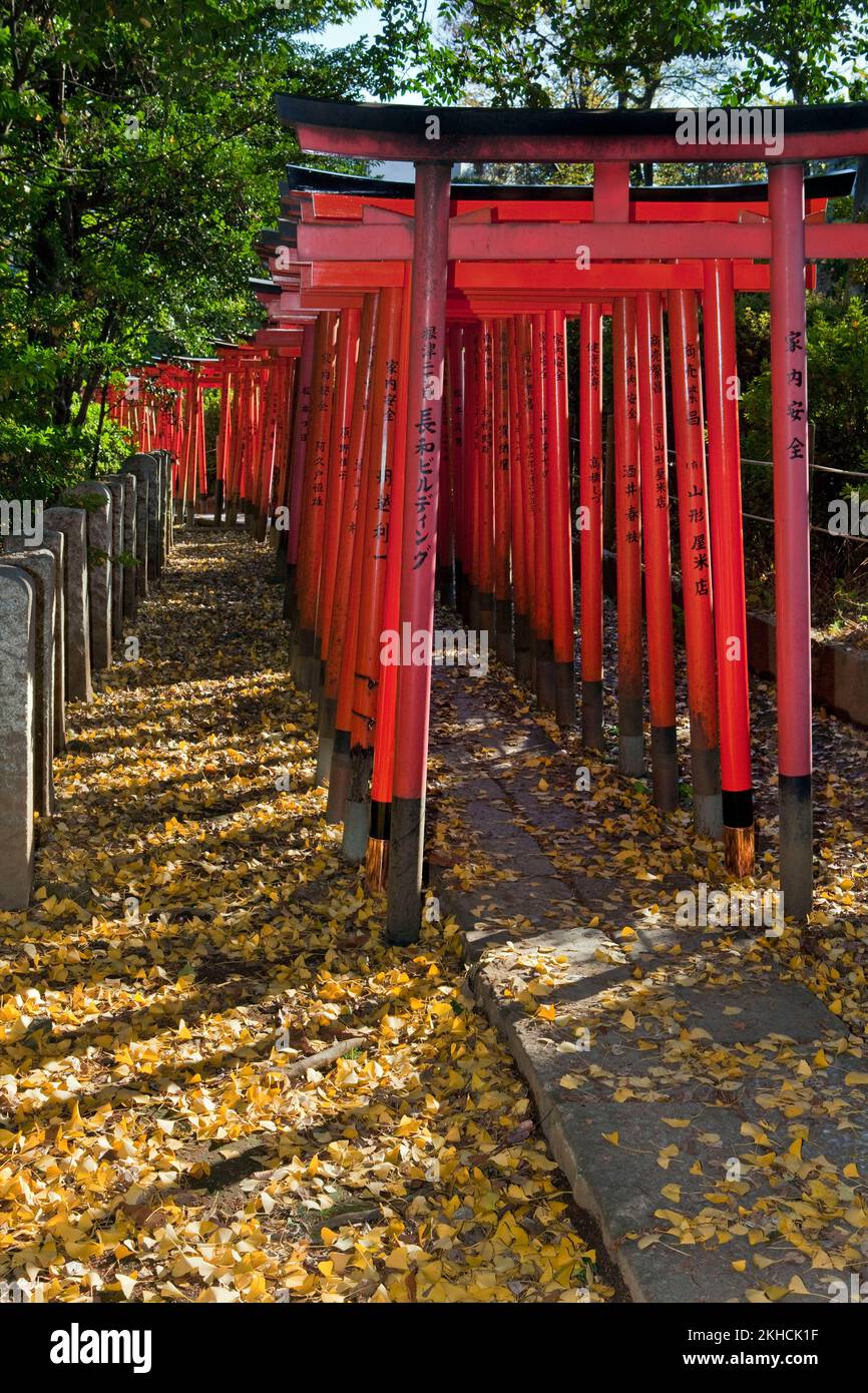 Torii gates Nezu Shrine Tokyo Japan 11 Stock Photo - Alamy