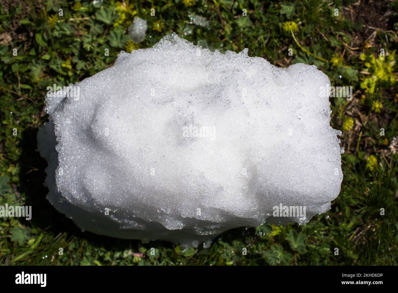 Little amount of snow put in the green grass background Stock Photo