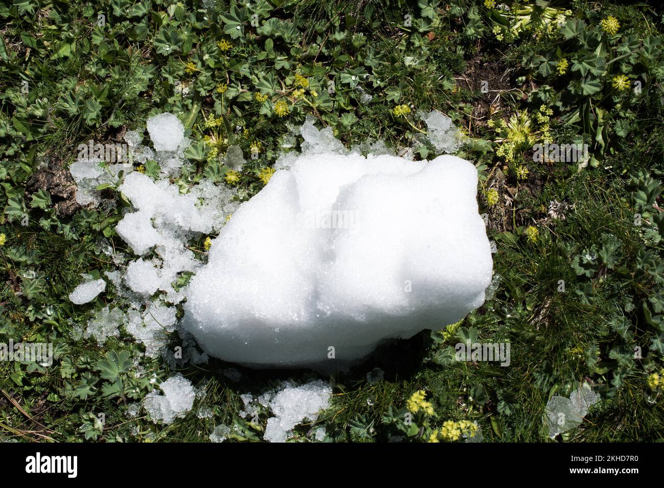 Little amount of snow put in the green grass background Stock Photo