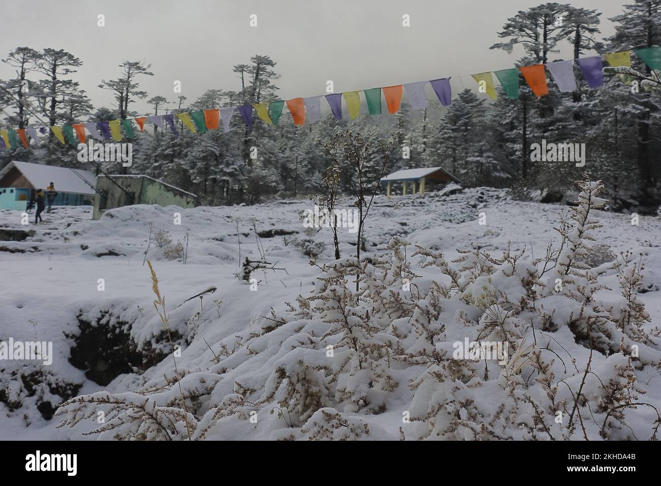 beautiful snow covered yumthang valley in winter season, scenic