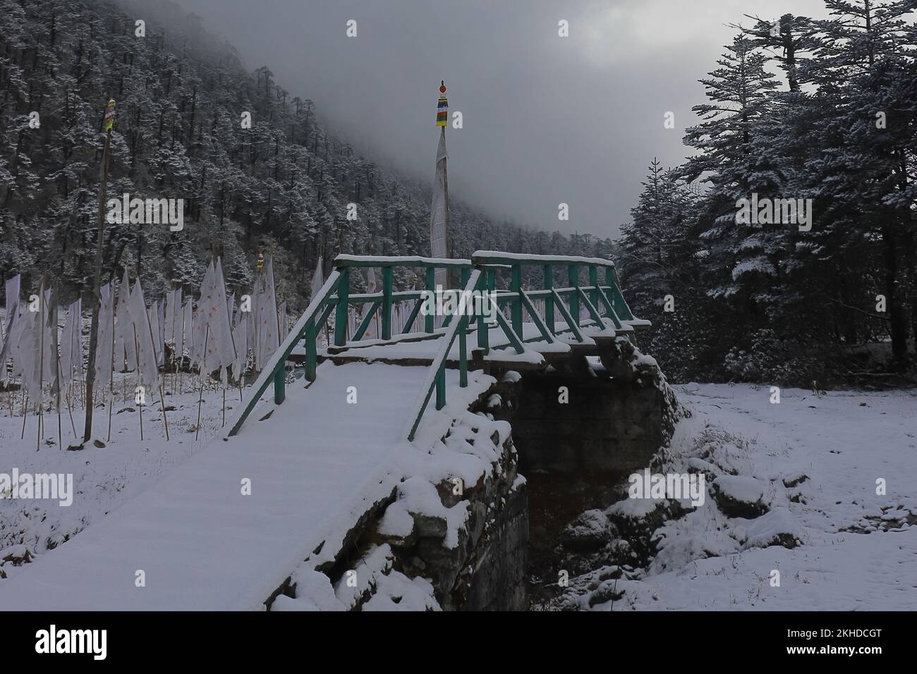 beautiful snow covered yumthang valley in winter season, scenic