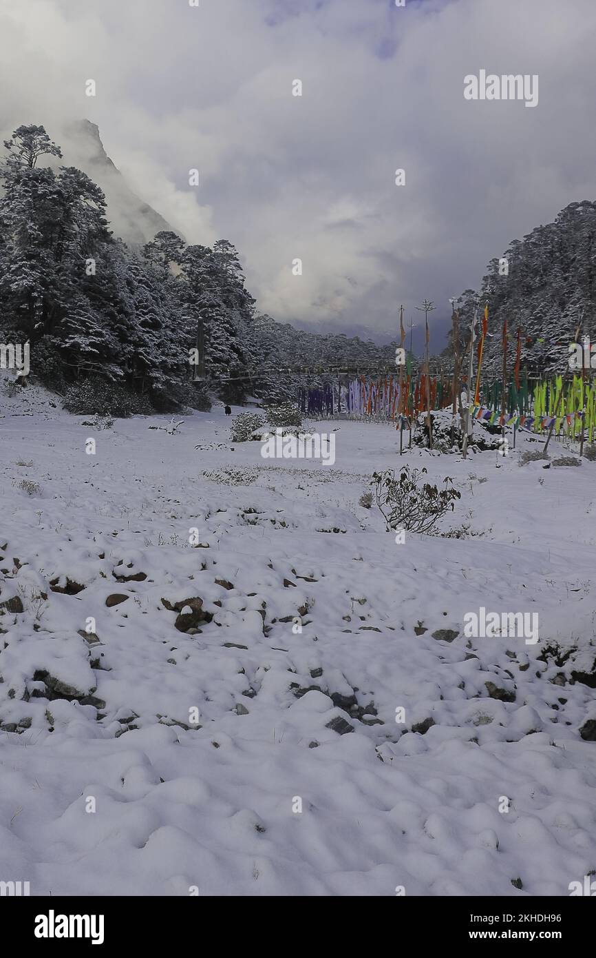 beautiful snow covered yumthang valley in winter season, scenic