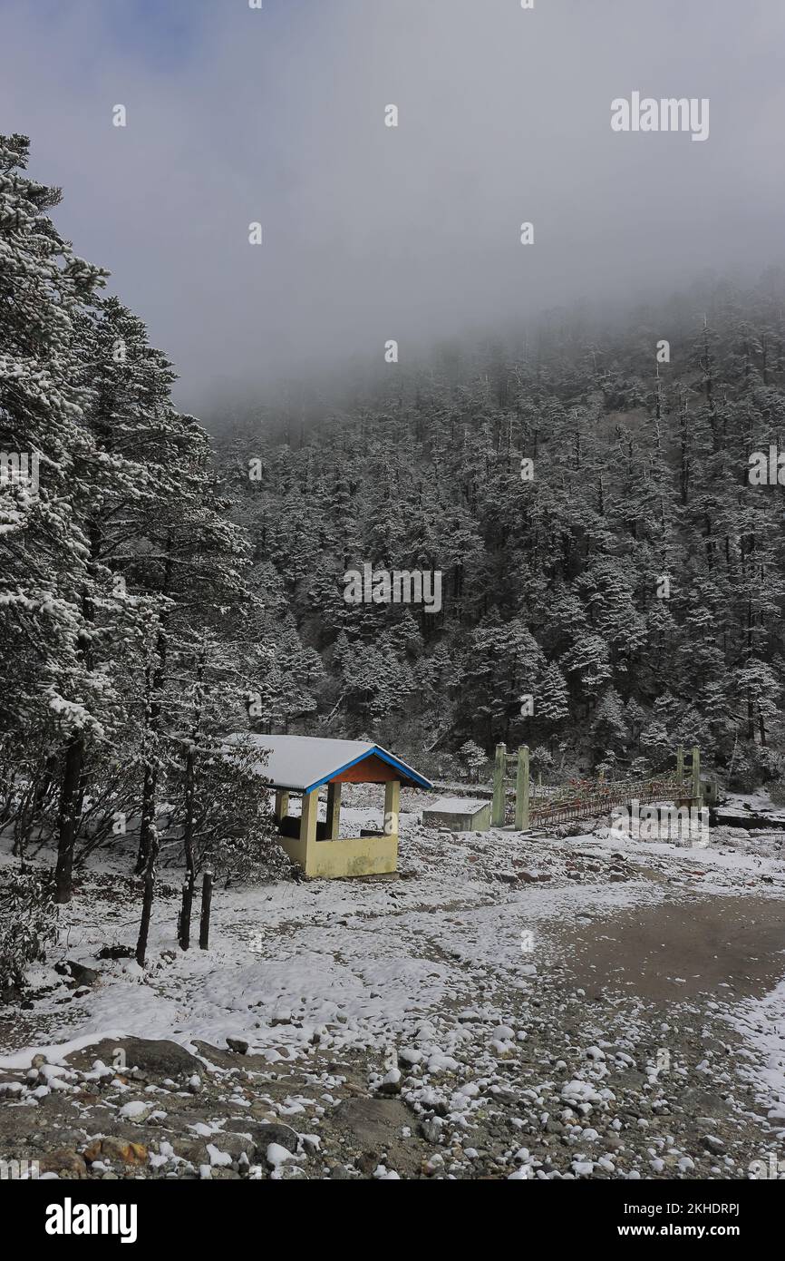 beautiful snow covered yumthang valley in winter season, scenic
