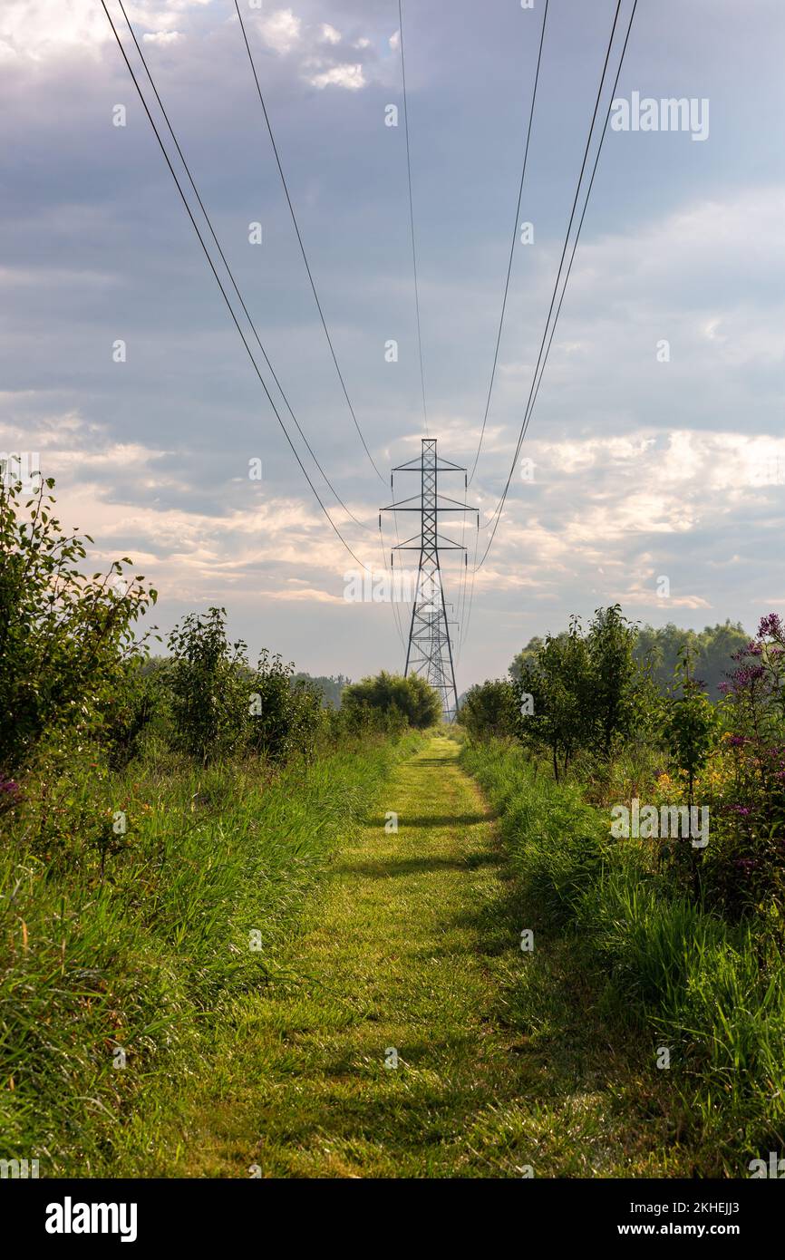 A transmission tower, or pylon, carries highvoltage electricity power