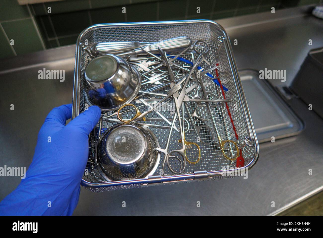 various surgical instruments are located in the instrument basket Stock ...