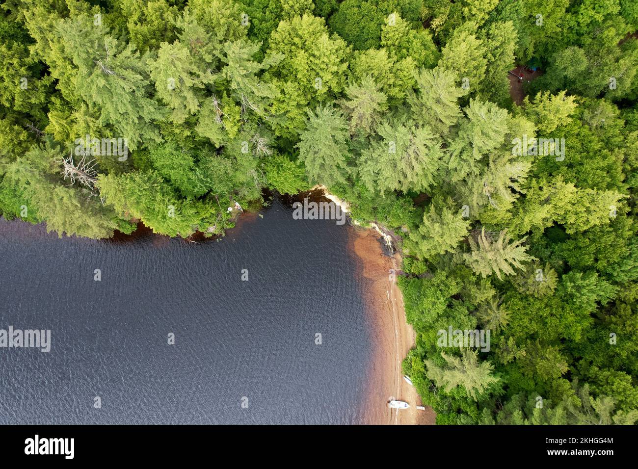 An aerial view of sea surrounded by island with dense trees Stock Photo ...