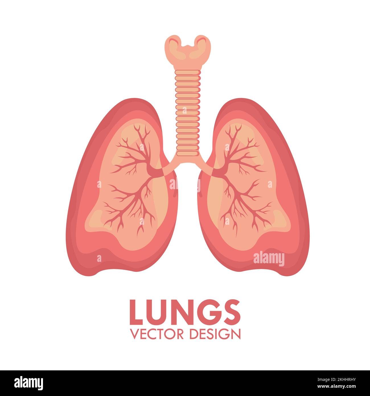 Lungs Human Respiratory Organ Medical Healthcare Isolated Vector Illustration Stock Vector
