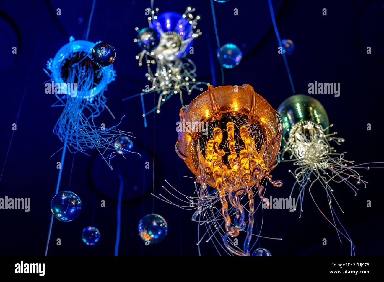 Gold Coast, Queensland, Australia - Illuminated jelly fish at Seaworld