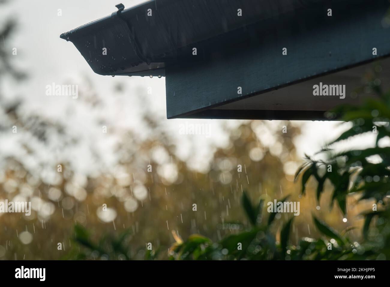 Rain falling over roof eaves while sun is shining. Auckland Stock Photo ...
