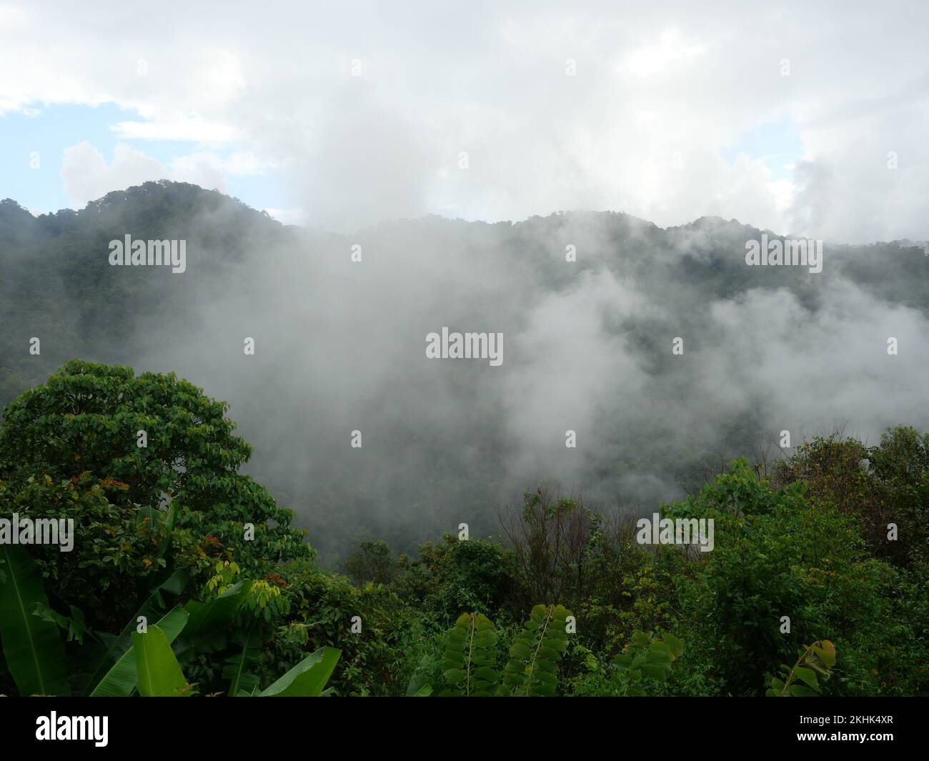 Cloud and fog cover limestone mountain, Mist in valley with green forest and rock at Pua District, Nan Province, Thailand Stock Photo