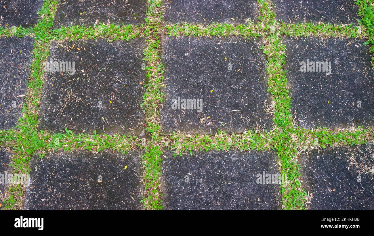 concrete block road with green grass in between. as background Stock