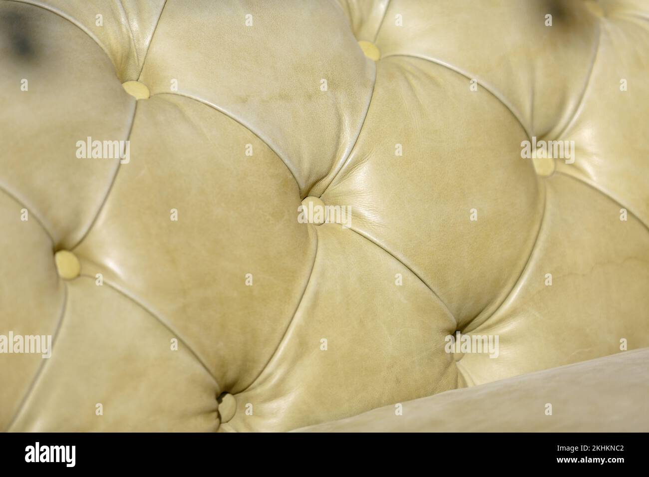 Leather furniture. Leather upholstery texture sofa stitched buttons