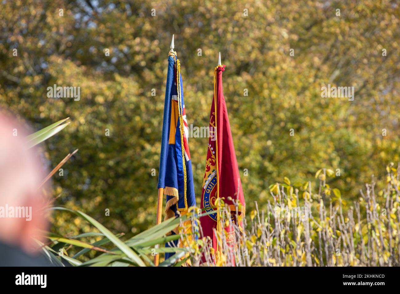 Memorial standards on Remembrance Sunday Stock Photo