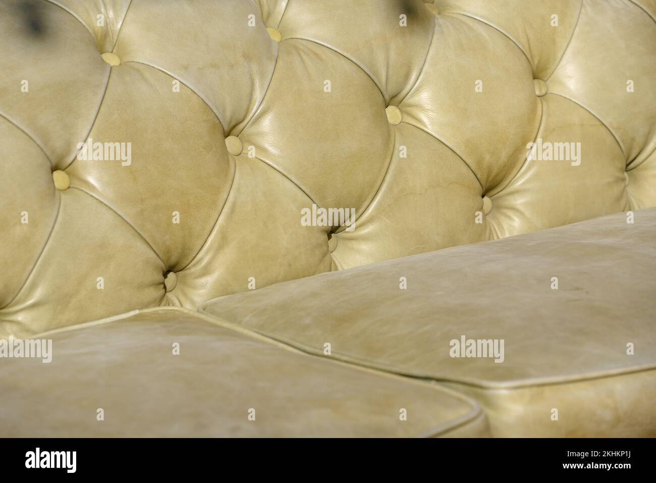 Leather furniture. Sofa upholstery. with furniture nails. Leather