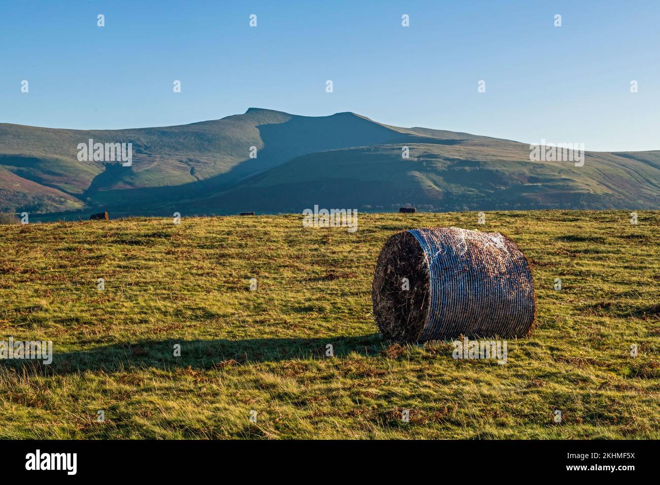 A solitary bracken bale on Mynydd Illtyd common with, in the distance