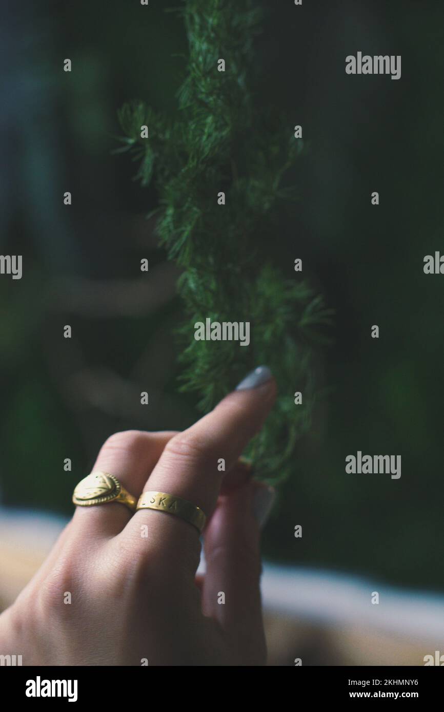 Vertical view female hand hi-res stock photography and images - Alamy