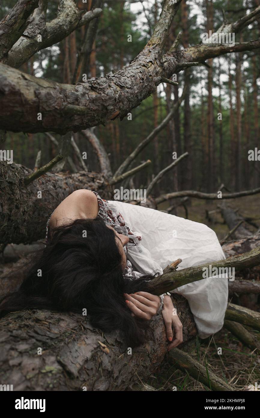 Woman lying on logs scenic photography Stock Photo - Alamy