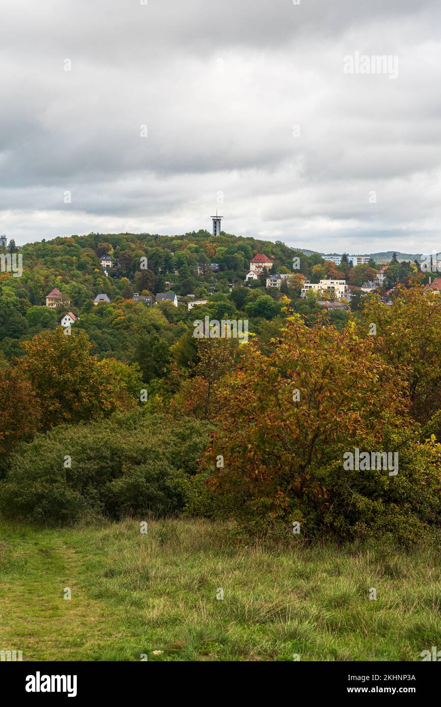 Barenstein hill with lookout tower drom meadow above Syratalbrucke in Plauen city in Germany Stock Photo
