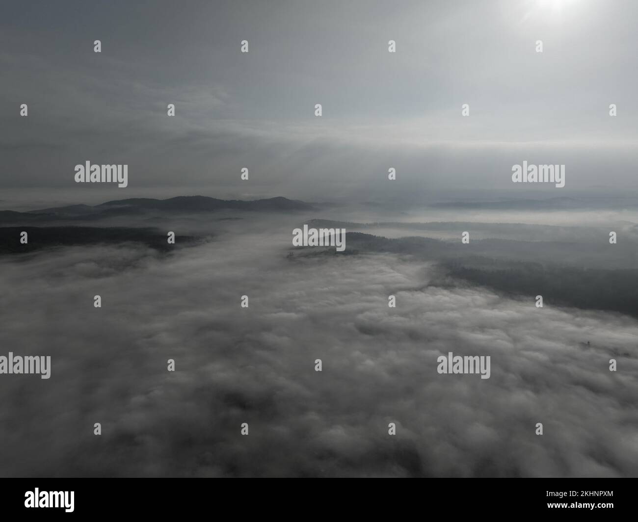 Misty fog blowing over tree hi-res stock photography and images - Alamy
