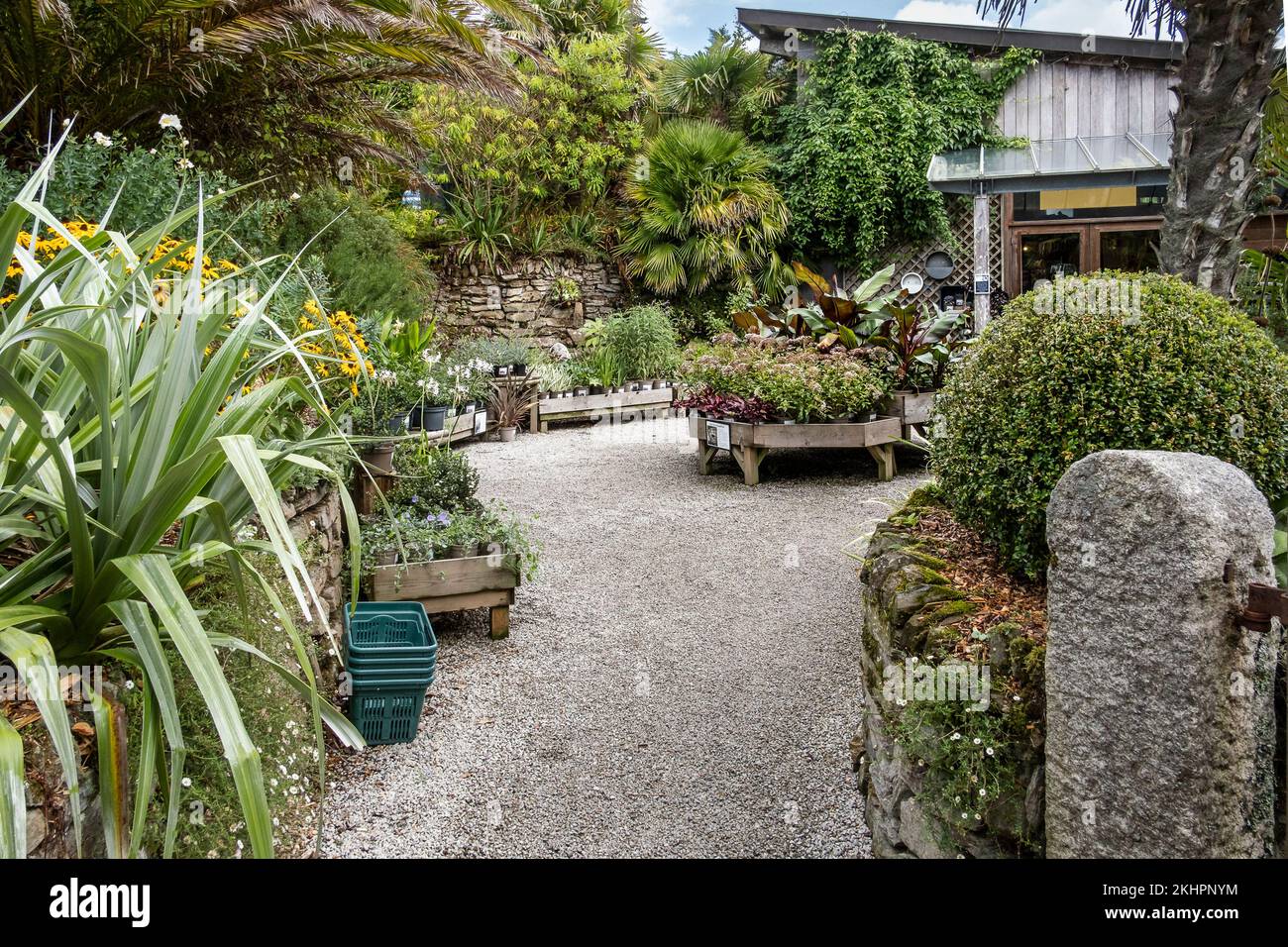 Plants on display and for sale at Trebah Gardens in Cornwall in the UK