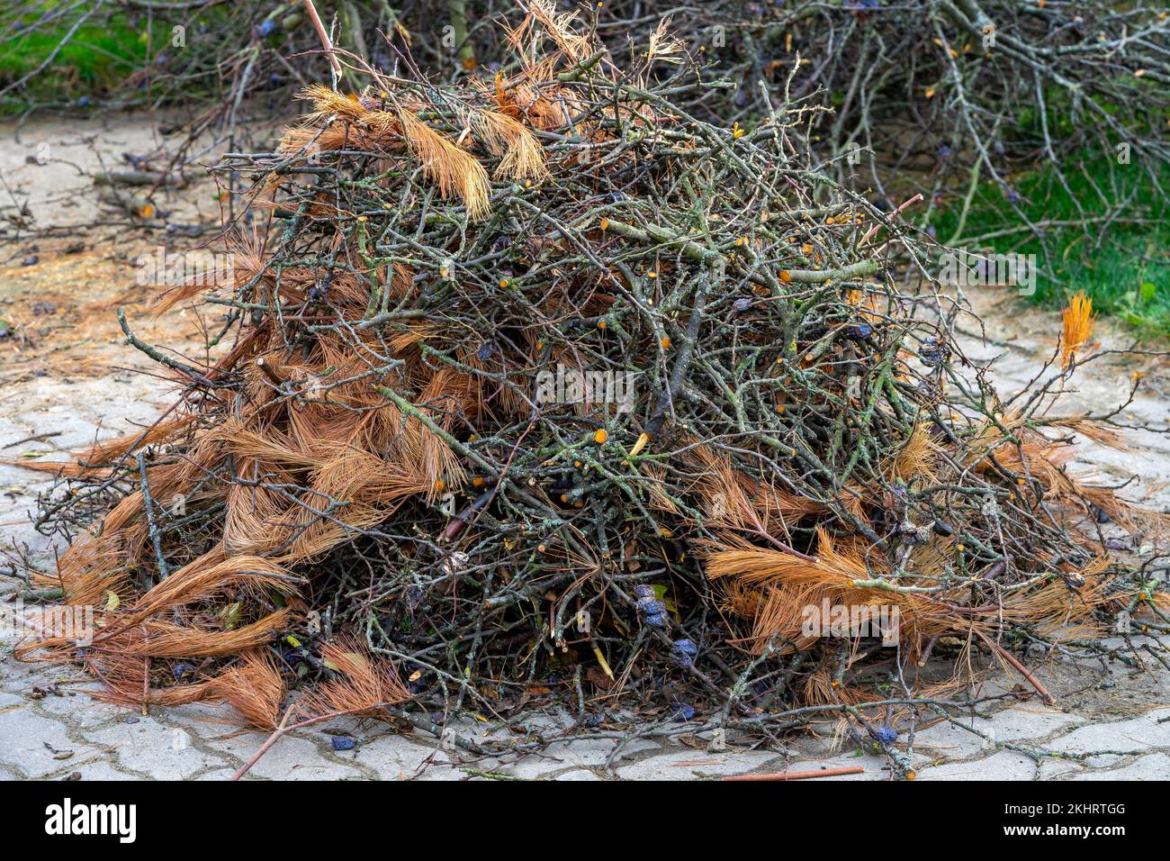 Heaps of garden waste to burn in the garden Stock Photo Alamy