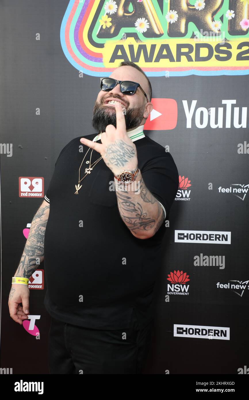 Sydney, Australia. 24th Nov, 2022. Briggs arrives on the red carpet for ...