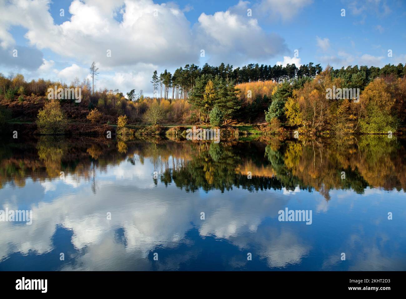 Stunning autumnal hues tints and colour from trees reflected in the