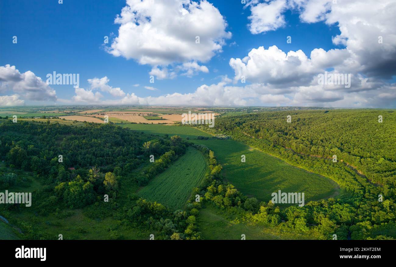 Agricultural fields with cereal crop plants next to forest in Bulgaria, Europa. Panorama, top view Stock Photo