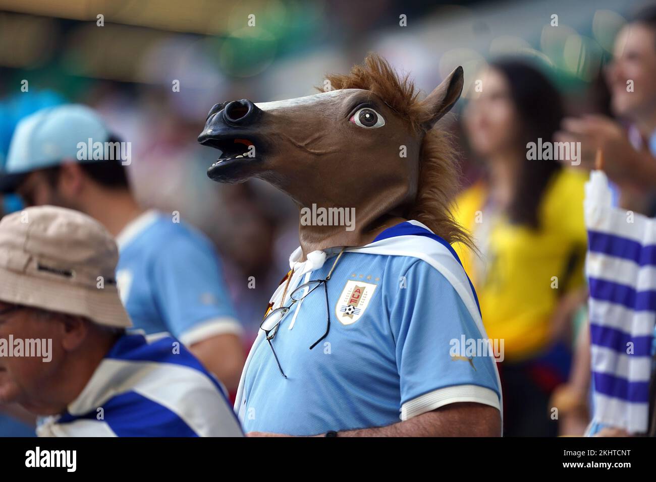 A Uruguay fan ahead of the FIFA World Cup Group H match at the Education City Stadium, Doha, Qatar. Picture date: Thursday November 24, 2022. Stock Photo