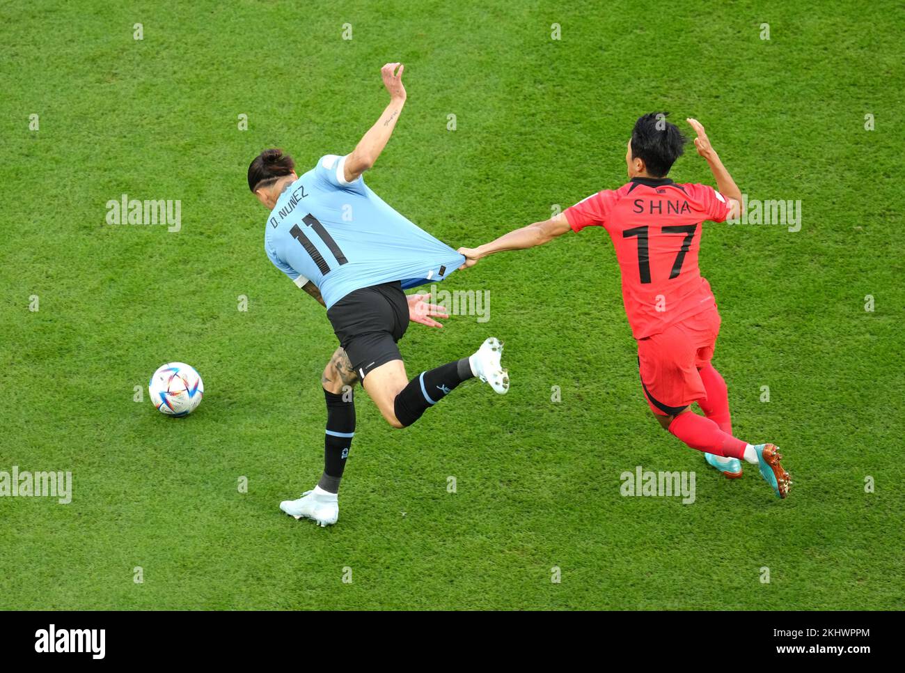 Uruguay's Darwin Nunez (left) and South Korea's Na Sang-ho battle for the ball during the FIFA World Cup Group H match at the Education City Stadium, Doha, Qatar. Picture date: Thursday November 24, 2022. Stock Photo