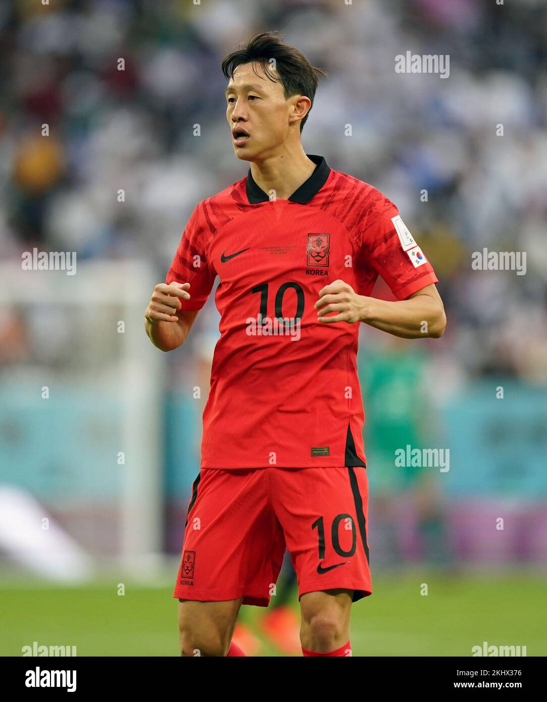 South Korea's Lee Jae-sung during the FIFA World Cup Group H match at the Education City Stadium, Doha, Qatar. Picture date: Thursday November 24, 2022. Stock Photo