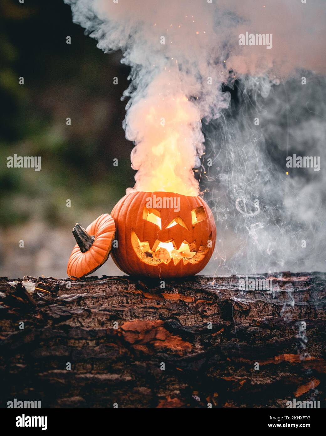 A Halloween pumpkin burning in the forest Stock Photo - Alamy