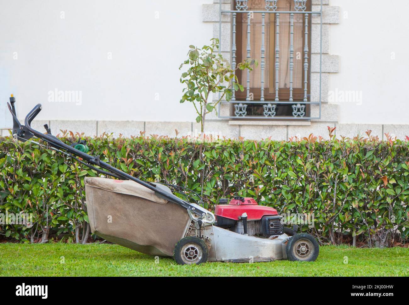 Lawn mower close to hedge. Landscaped sidewalks concept Stock Photo