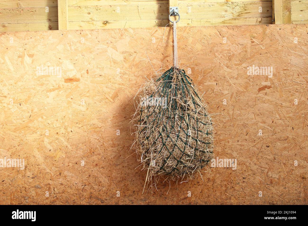 Horse feed bag containing hay hanging on a stable wall. Stock Photo