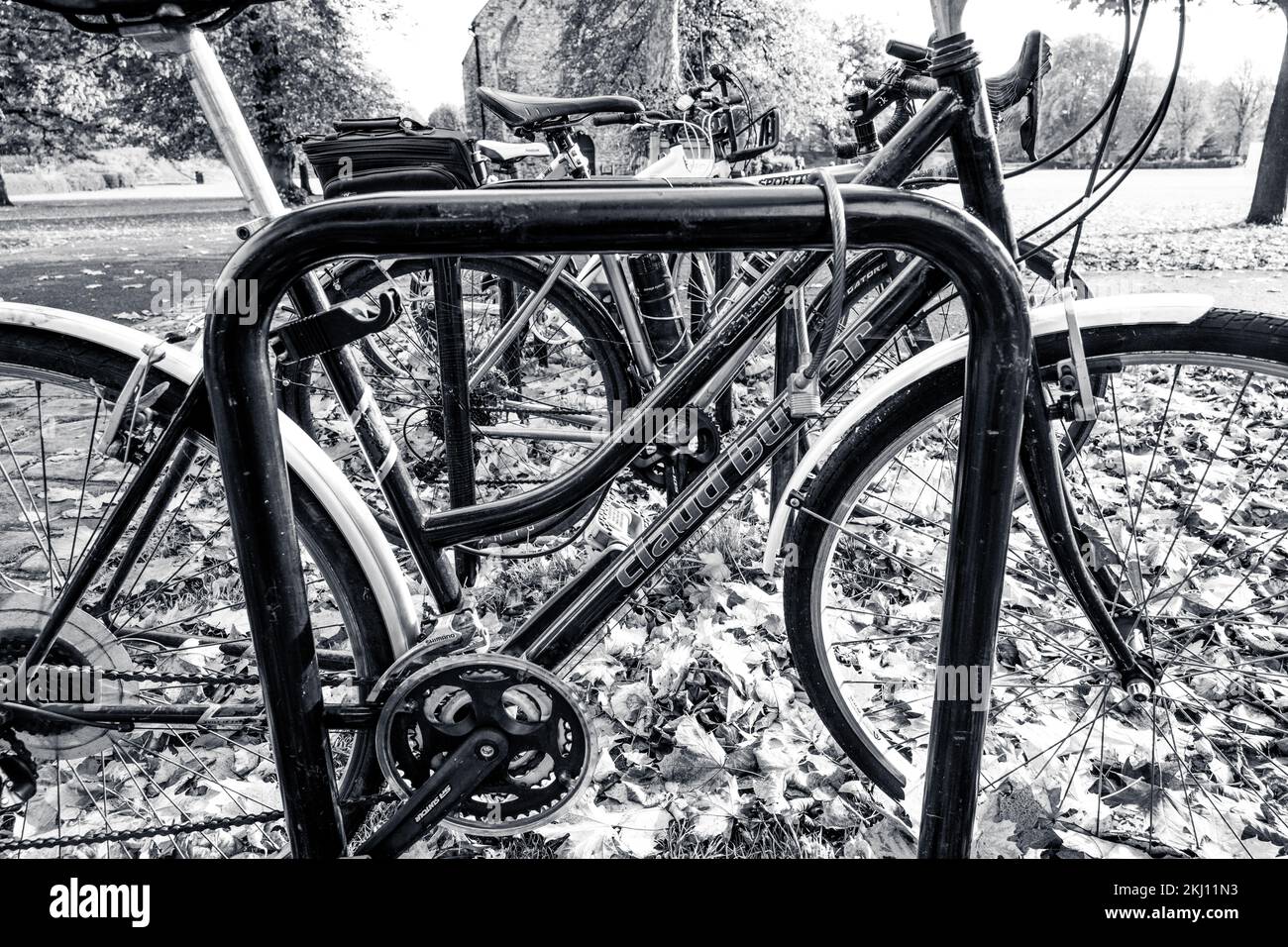 Street Photography, Chichester Stock Photo Alamy