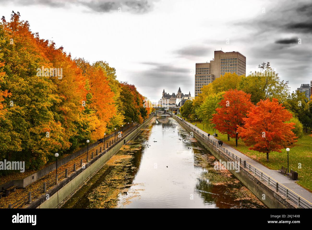 Autumn in Rideau Canal Stock Photo
