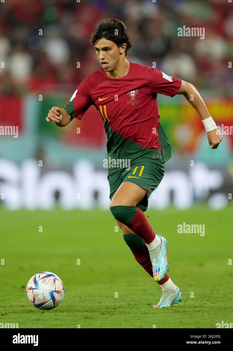 Portugal's Joao Felix in action during the FIFA World Cup Group H match at Stadium 974 in Doha, Qatar. Picture date: Thursday November 24, 2022. Stock Photo