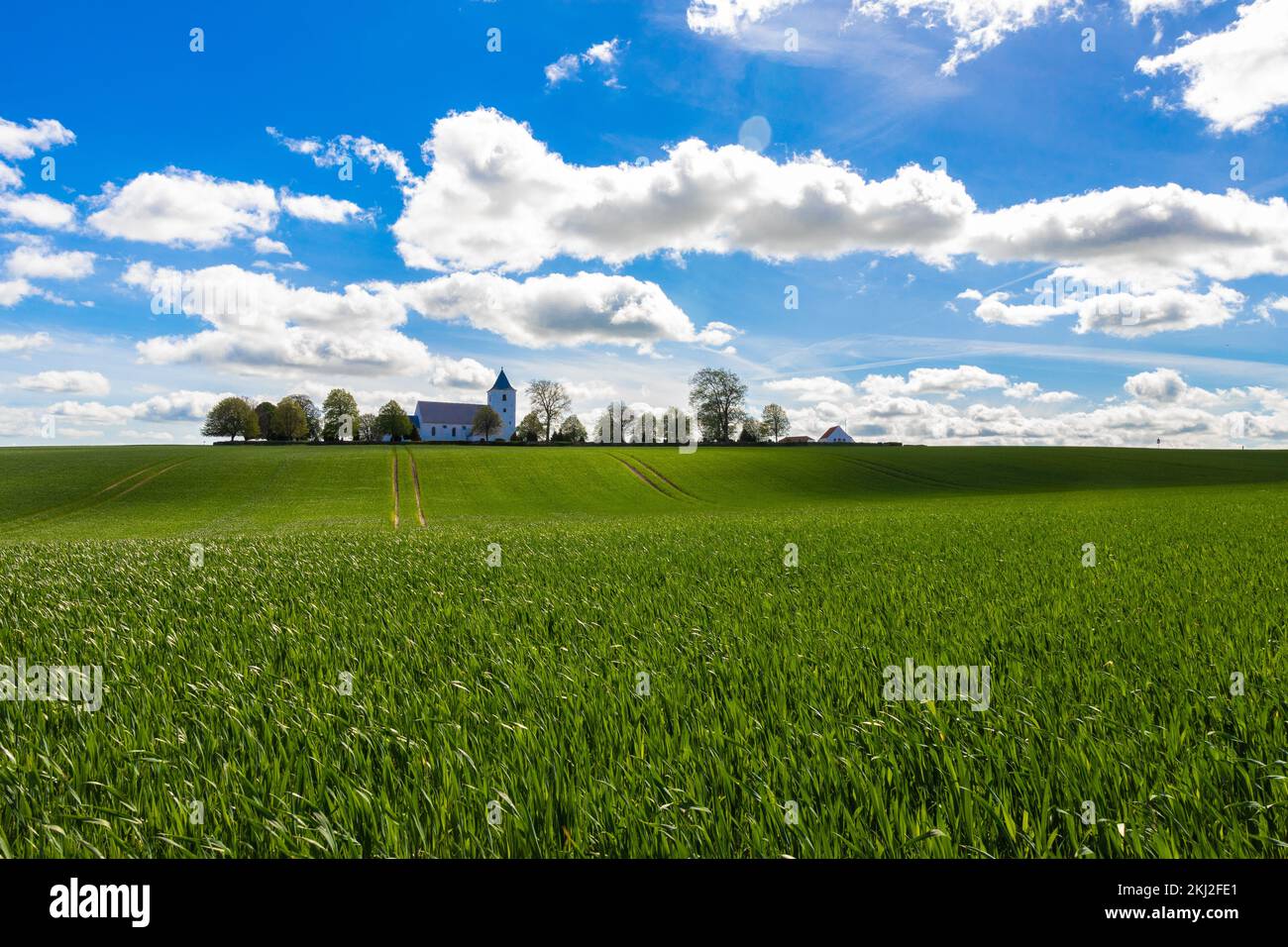 A Lutheran church in the middle of a green field in Denmark. Stock Photo