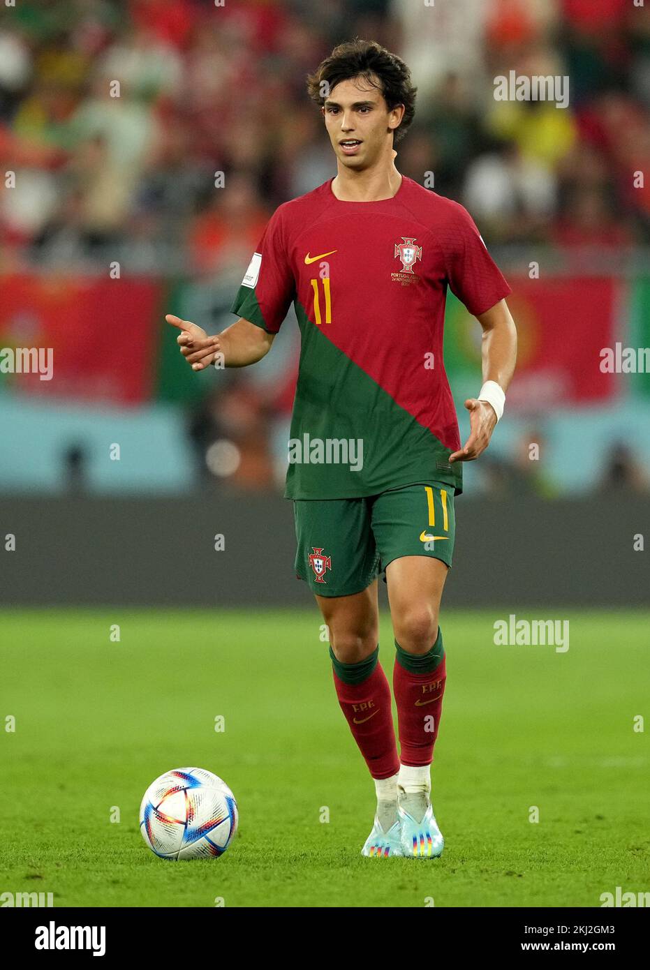 Portugal's Joao Felix in action during the FIFA World Cup Group H match at Stadium 974 in Doha, Qatar. Picture date: Thursday November 24, 2022. Stock Photo